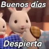 Ternurines frases pal chat 🐰💖 5