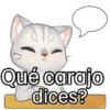 Qué carajo dices?