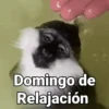 Domingo de Relajación