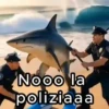 🚨 Noo la policía noo🚨Brainrot 9