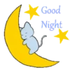 Buenas noches 2 16