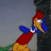 Pica pau animadas 9
