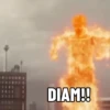 DIAM!!