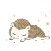 Buenas noches 2 17