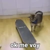Animales cute ️ 17