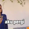 aku pergi