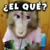 ¿EL QUÉ?