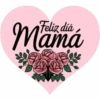Feliz día Mamá💞3🇵🇪Clásica 14