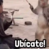 Ubícate!