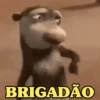 BRIGADÃO