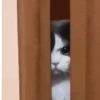 🐈 Gatitos 🐈‍⬛ 13