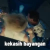 kekasih bayangan