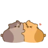 Bucin GIF ❤️ 8