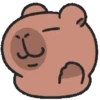 🐹°CapiBara Cute°🐹 11