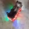 Memes animados | tiktok 12