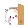 🐹🐹 ThE HaMsTeR 🐹🐹 13