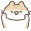 Fatty cats 2🐱 MOV 11
