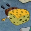 Gif Spongebob  5