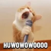 Meme kucing gif / cat 8