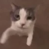 Reações Aleatórias 11
