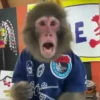 E3 NEW