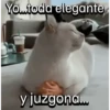 Yo...toda elegante y juzgona...