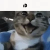 :D