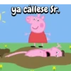 Memes frases de Peppa Pig🐽 11