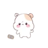 🐹🐹 ThE HaMsTeR 🐹🐹 14
