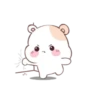 🐹🐹 ThE HaMsTeR 🐹🐹 17