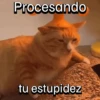 Procesando tu estupidez