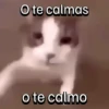 O te calmas o te calmo