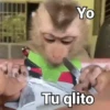 Yo Tu glito