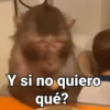 Y si no quiero qué?