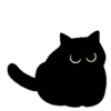 Gatito Negro 🐈‍⬛ 10