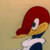 Picapau 13
