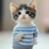 Dancing Kittens TikTok 🐱🎶🐈‍⬛ 6