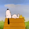 Snoopy 🤍 11