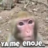 YA me enoje..