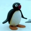 Pingu animado 🐧 8