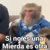 Si no es una Mierda és otra