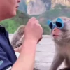 🐒🍌 Monos traviesos 🍌🐒 9