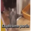 Explícame portis