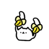 Gatito Blanco 🐱 1 23