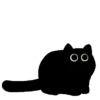 Gatito Negro 🐈‍⬛ 16