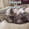 Déjese querer
