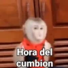 Hora del cumbion