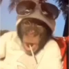 🤣🦍Monos Traviesos😂🦍 10