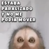 ESTABA PARALIZADO Y NO ME PODÍA MOVER