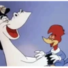 Picapau 5
